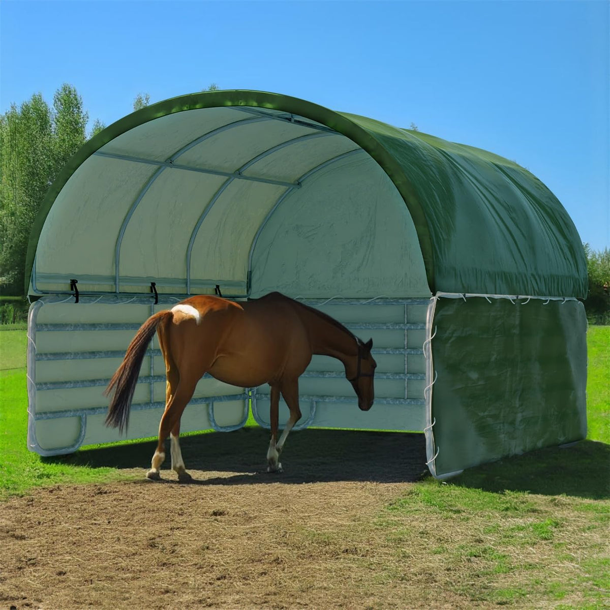 VOSS.farming Carports, 3,00m, Grün, Weidezelt 3, 00 x Weideunterstand Lagerzelt Rundbogen Komplettset